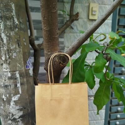 Túi Giấy Quai Xách 15x9x21cm – In Logo Theo Yêu Cầu, Giá Tốt Tại Xưởng